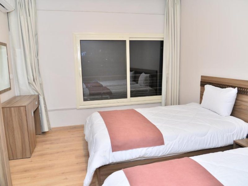 Deluxe Double or Twin Room with City View